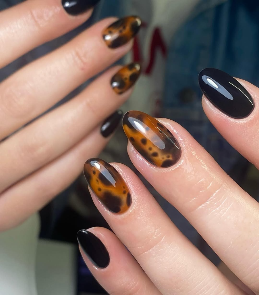 Tortoise Shell with Black Accents