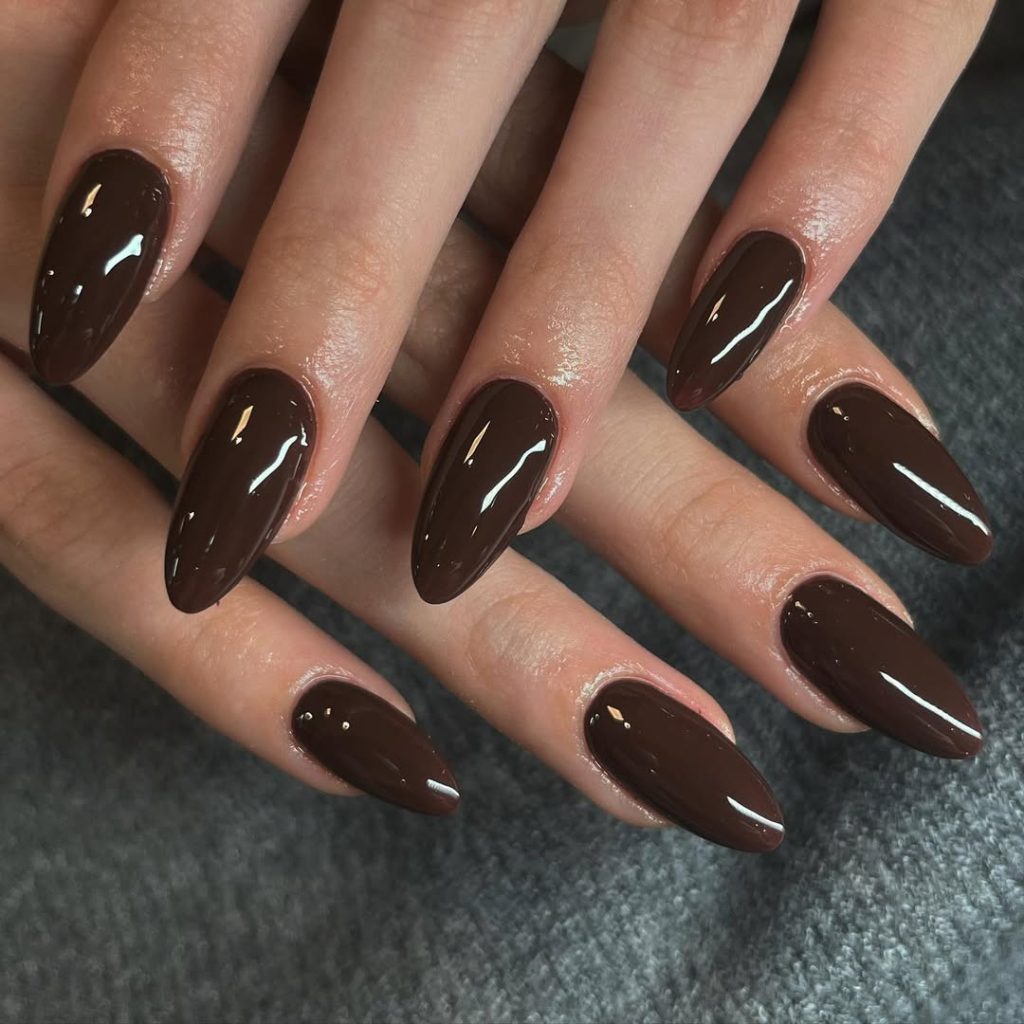 Chocolate Brown Nails