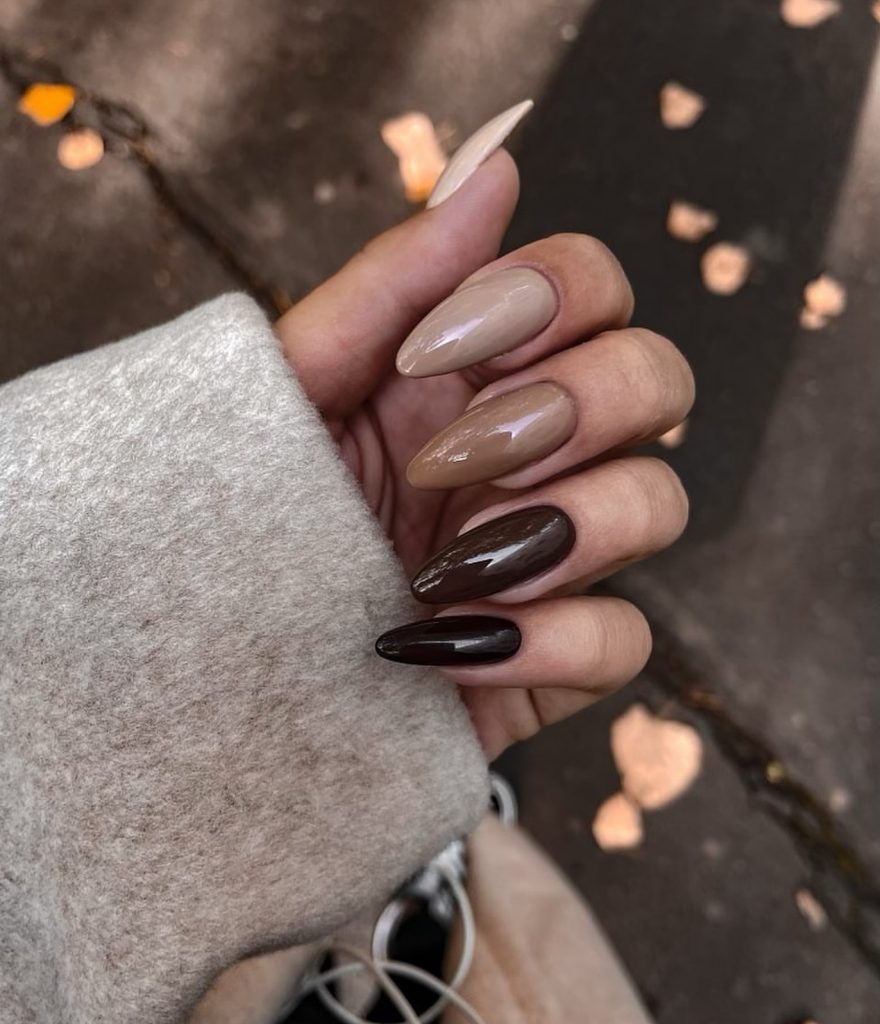 Earthy Gradient Browns