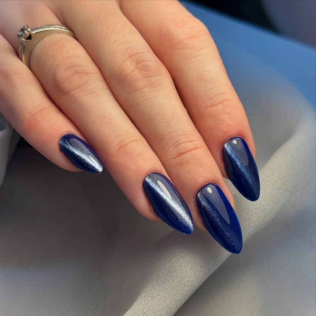 Navy Velvet Nails