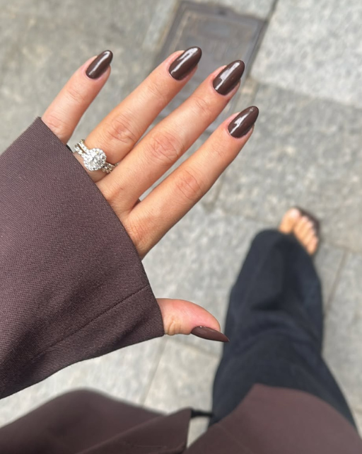 Rich Chocolate Brown