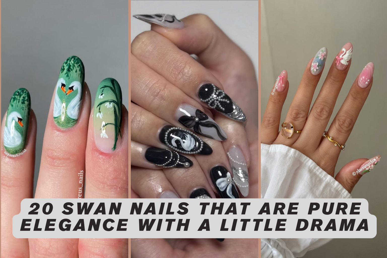 20 Swan Nails That Are Pure Elegance With a Little Drama