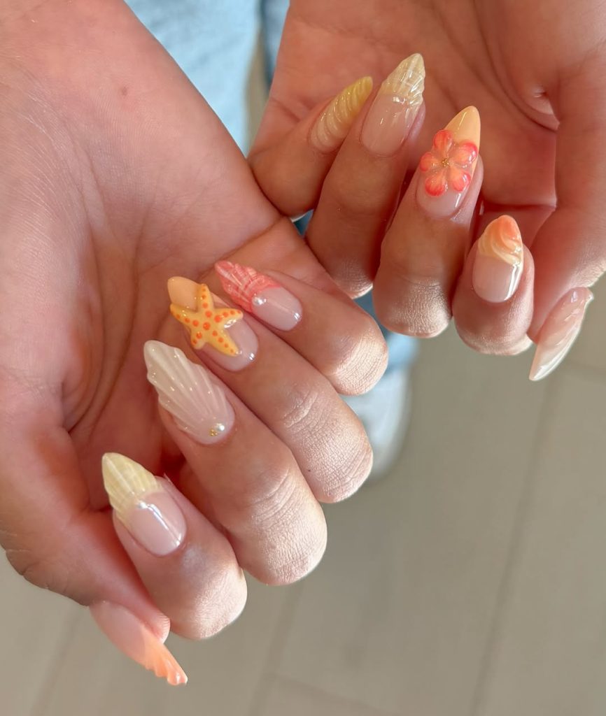 Sunset Shells & Starfish