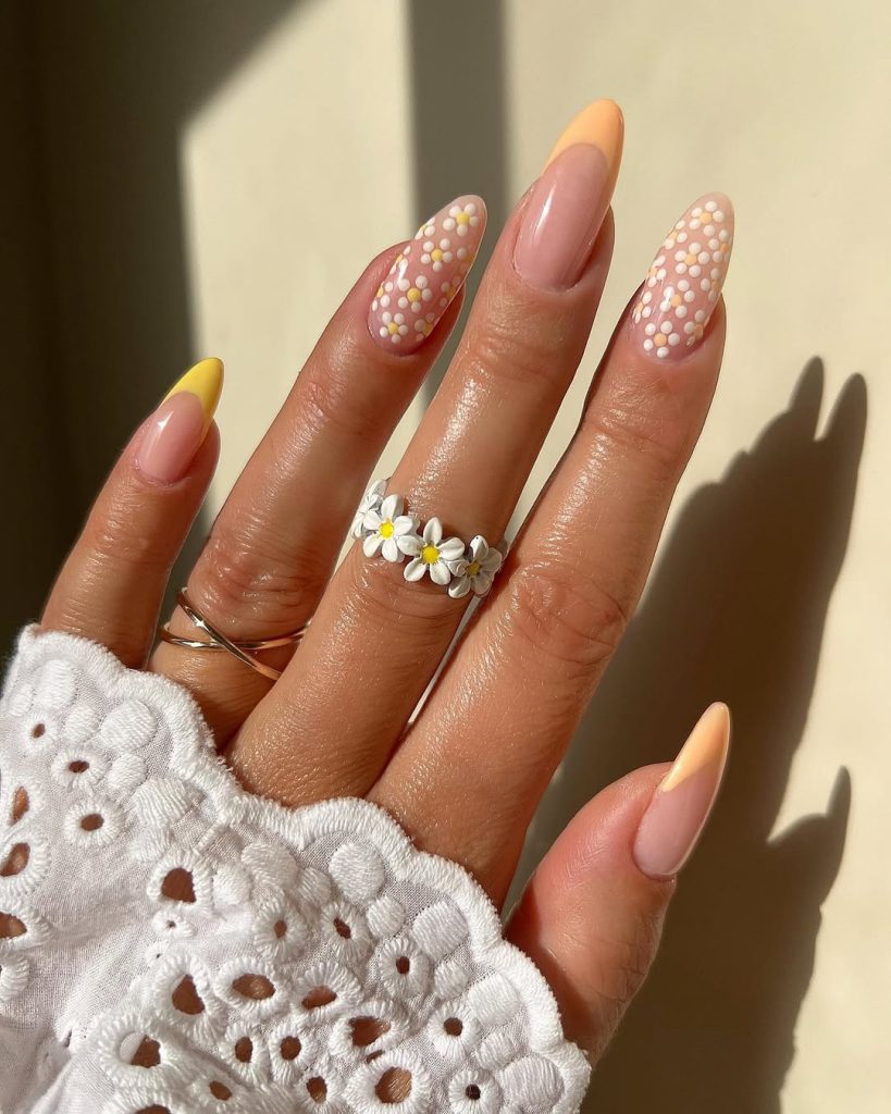 Sunlit Daisy Tips