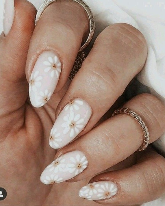 Cloud White Daisies
